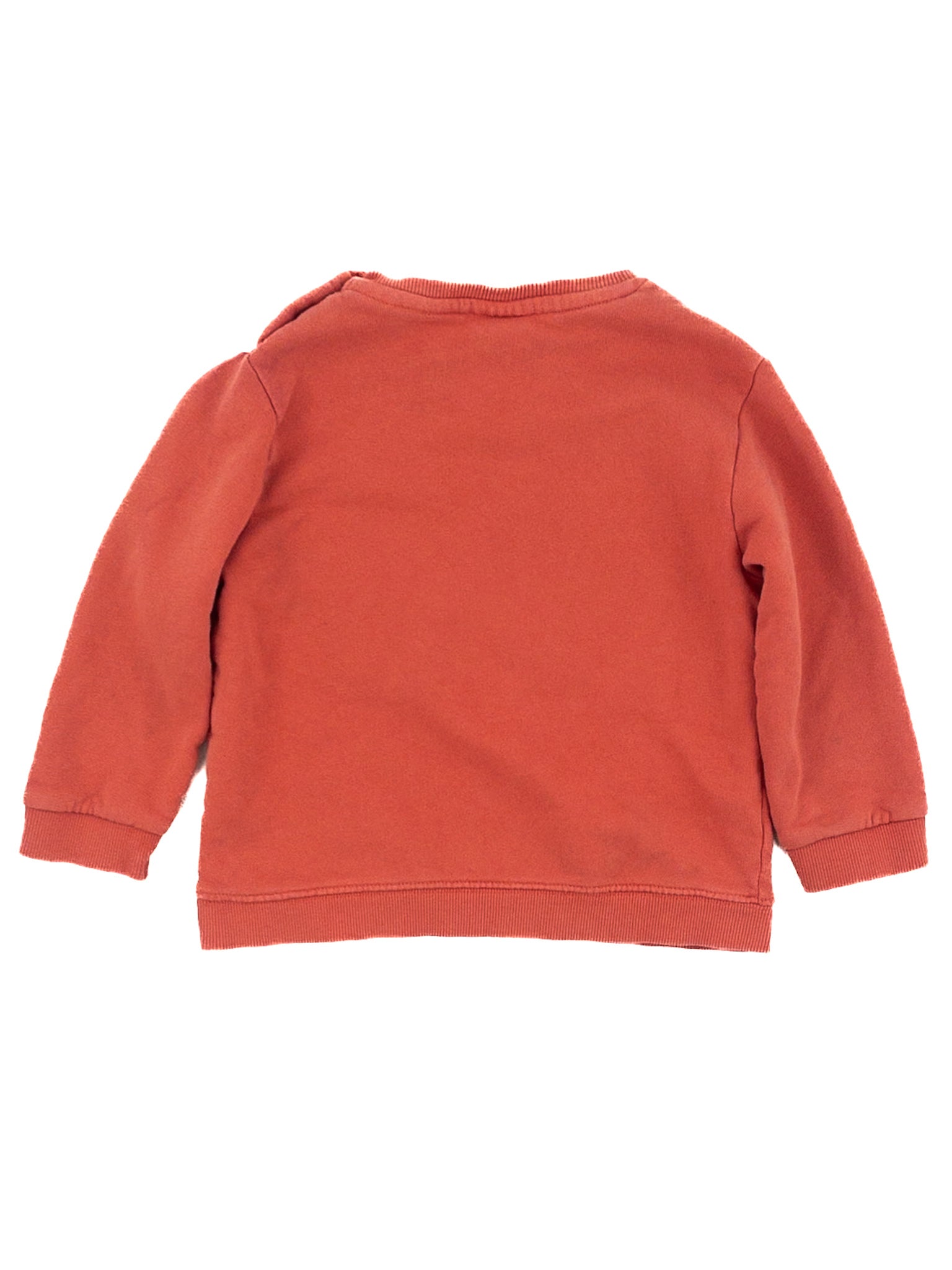 3T Zara Sweatshirt