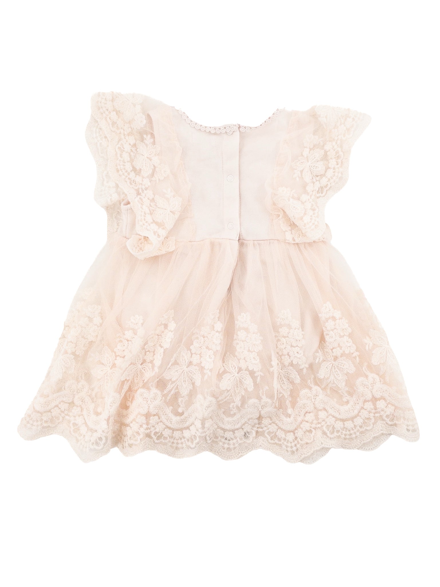 12 Months Tahari Dress