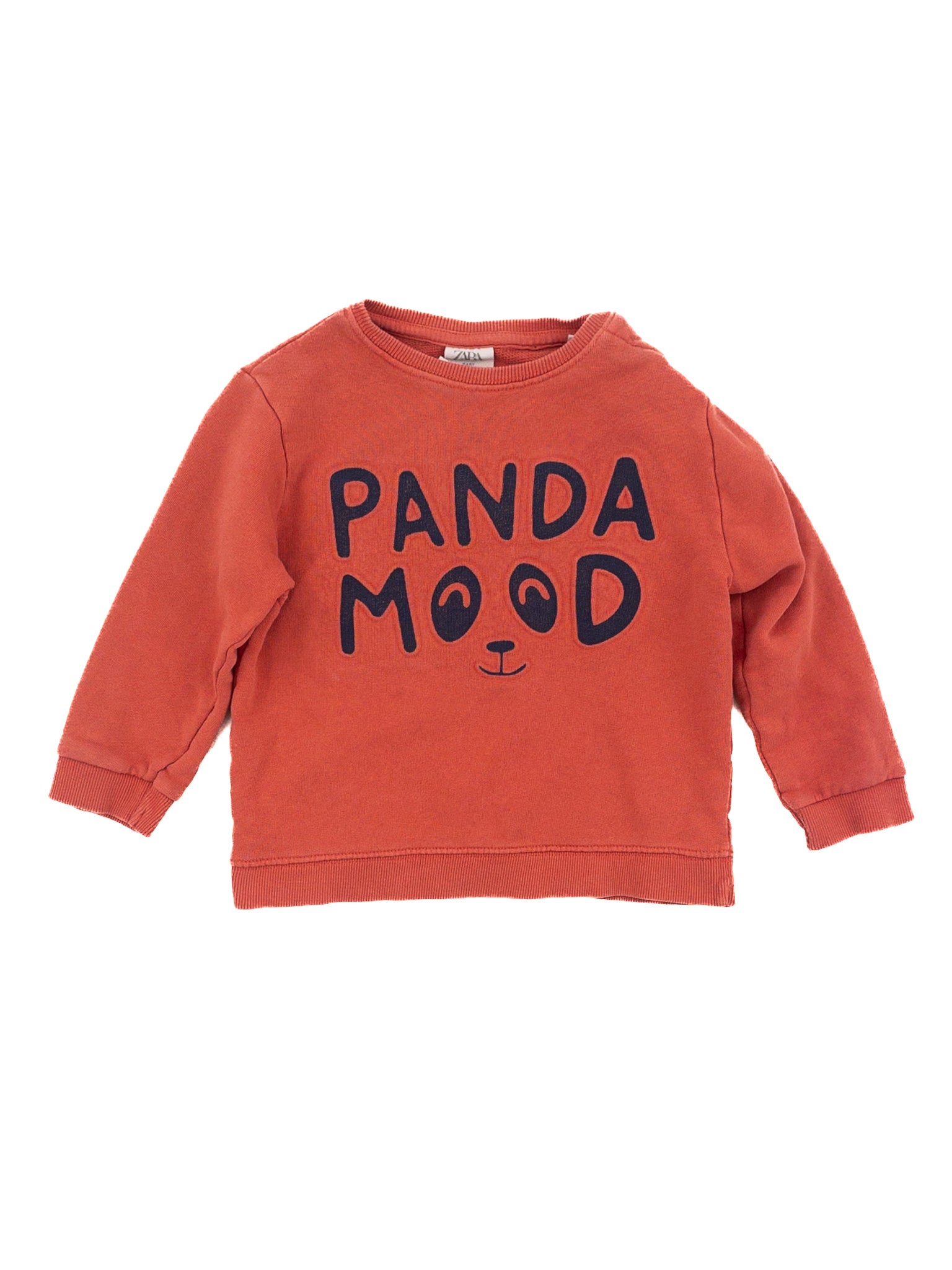 3T Zara Sweatshirt